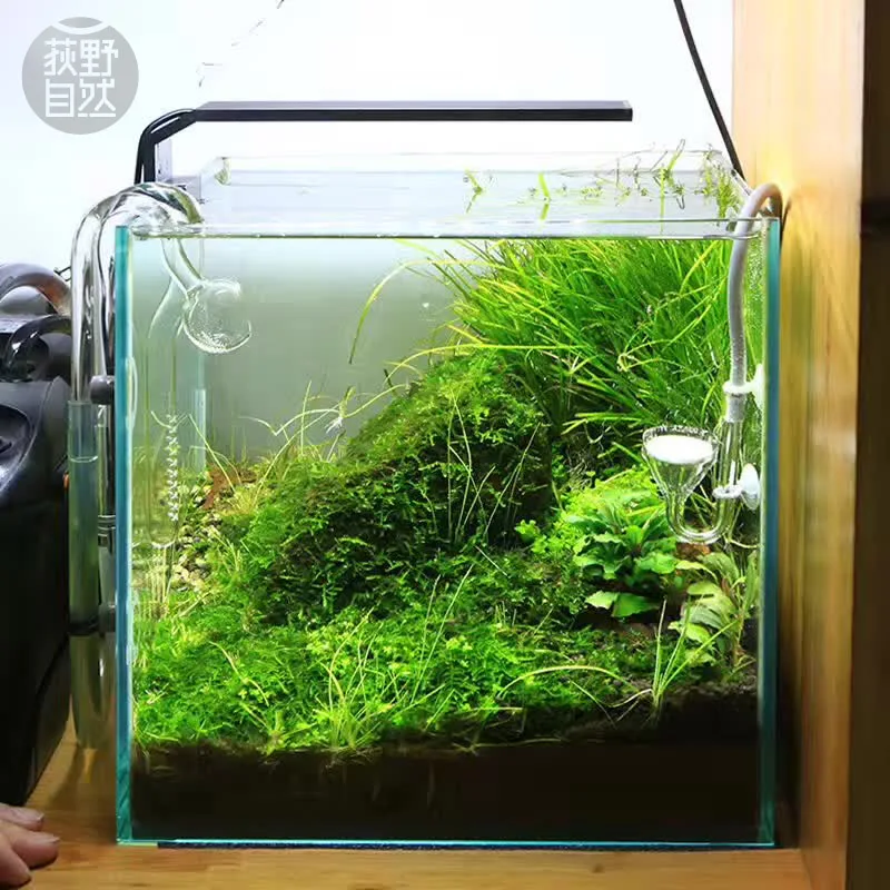 Planted Aquarium Equipment - Chihiros C Series ADA สไตล์พืช Grow