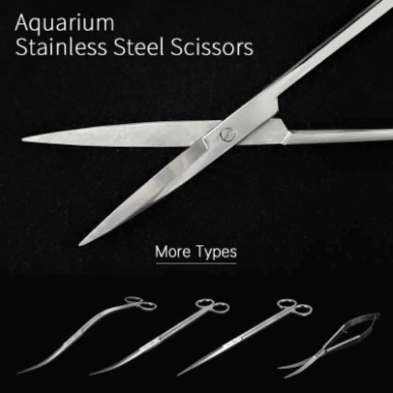 Planted Aquarium Equipment - กรรไกรตัดแต่งพืชน้ำสแตนเลส Week Aqua รุ่น Sharp Pruning