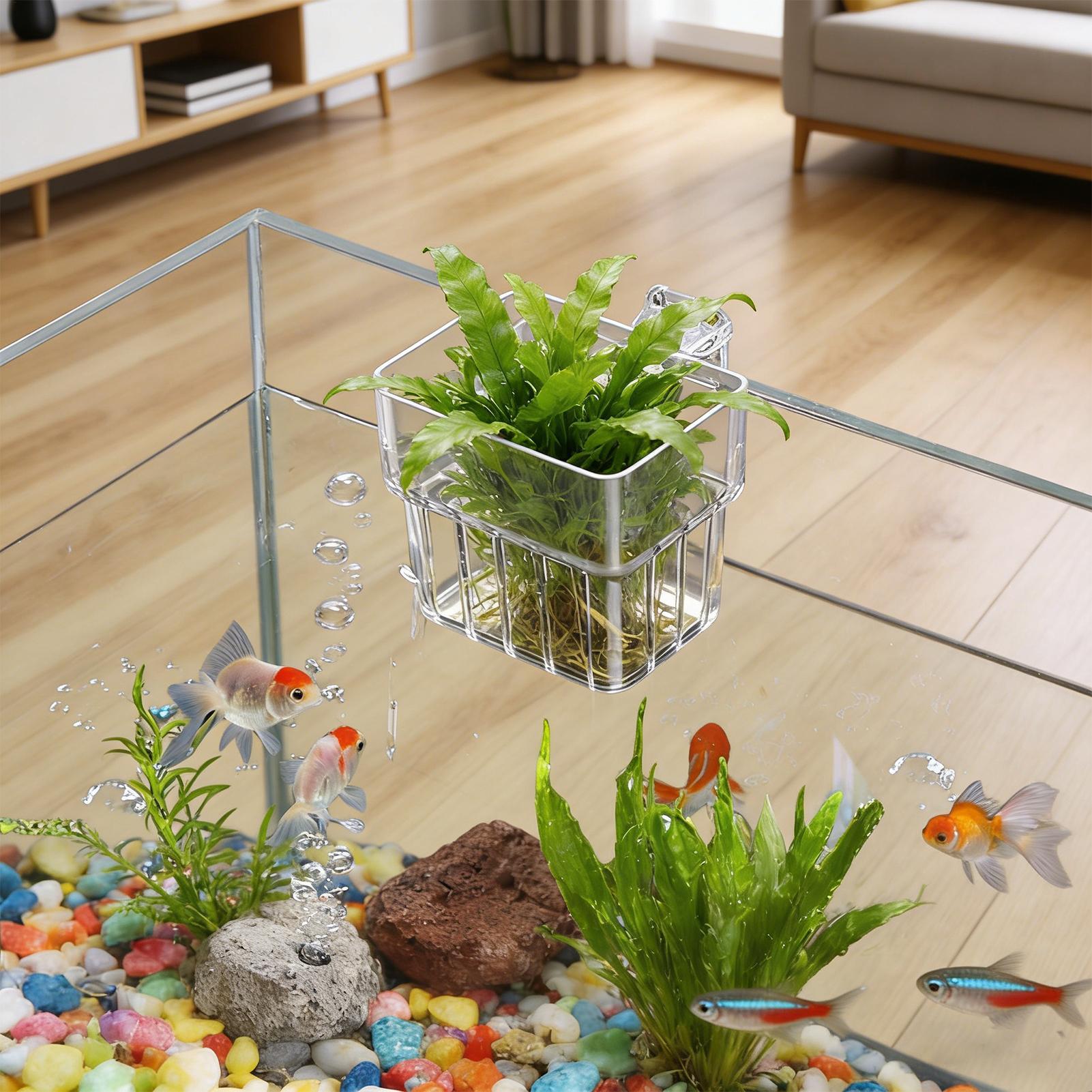 Planted Aquarium Kit - กระถางใสสำหรับแขวนปลูกพืชน้ำในตู้ปลา ระบบไฮโดรโปนิกส์ ตกแต่งสถานที่ทำงานในร่ม ตกแต่งสำหรับการปลูก
