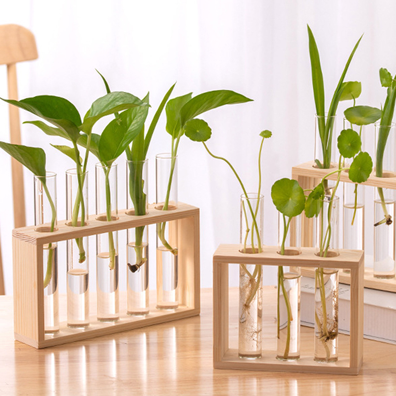Tissue Culture Plant - พืช Hydroponic คอนเทนเนอร์กรอบไม้โปร่งใสหลอดทดสอบแก้วแจกันดอกไม้หม้อบ้านโต๊ะบอนไซตกแต่งงานฝีมือ