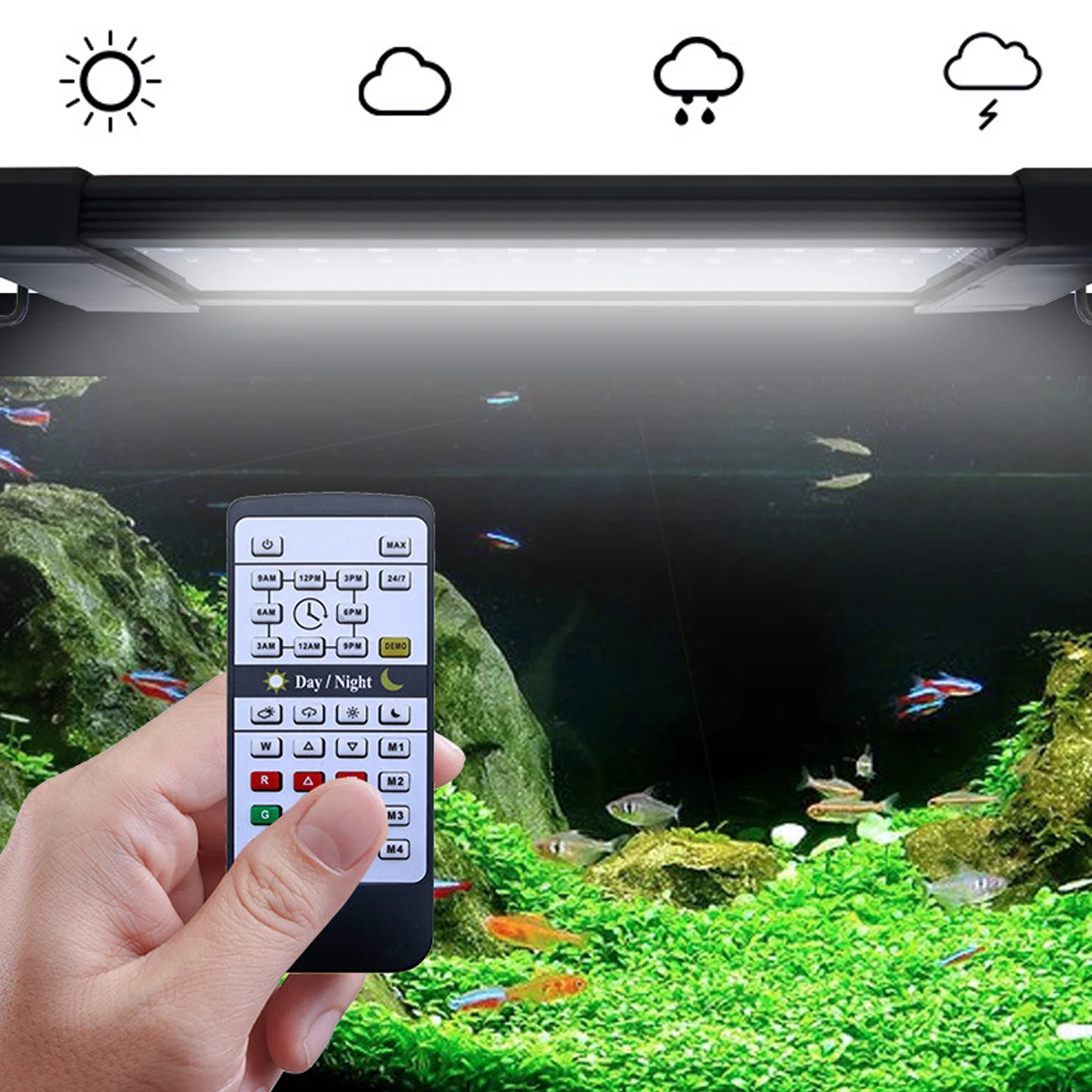 Planted Aquarium Hours - ไฟเลี้ยงปลา Liweida 24 ชั่วโมง แสงธรรมชาติ ควบคุมด้วยรีโมท