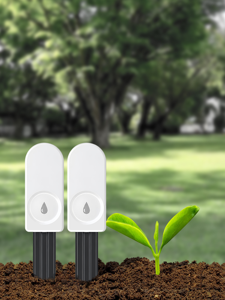 เครื่องวัดความชื้นในดิน ZigBee - Tissue Culture Plant บทวิจารณ์และราคา