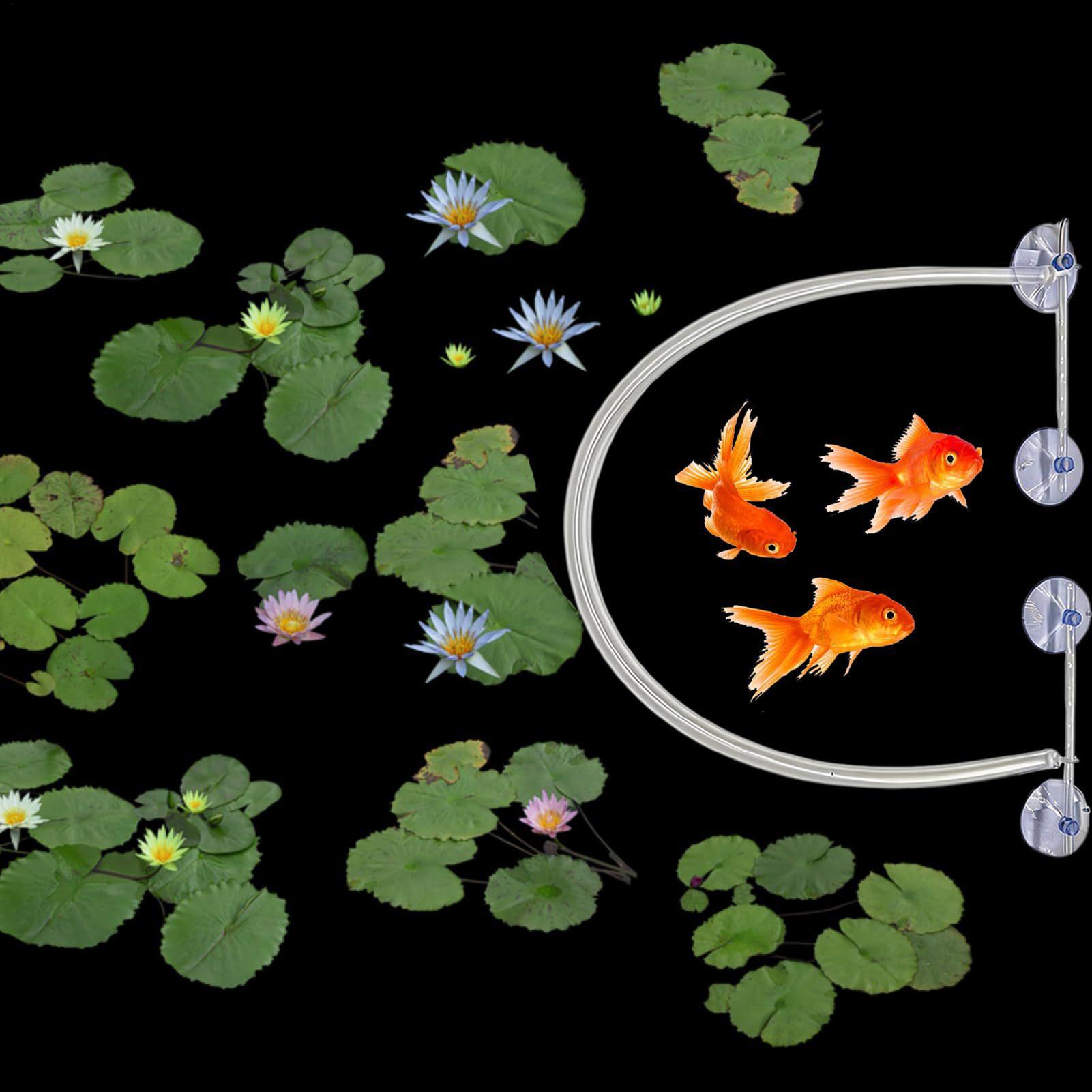 ชุดรั้วกั้นพืชน้ำแบบปรับระดับค - Planted Aquarium Tank Kit บทวิจารณ์และราคา