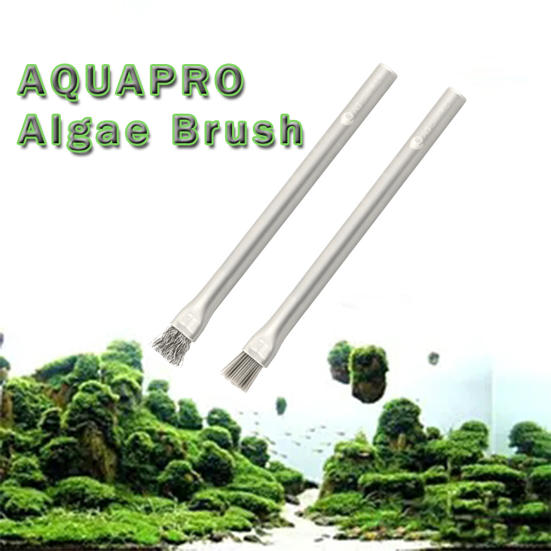 Aquapro Algae Brush Aquarium อ - Planted Aquarium Ada บทวิจารณ์และราคา