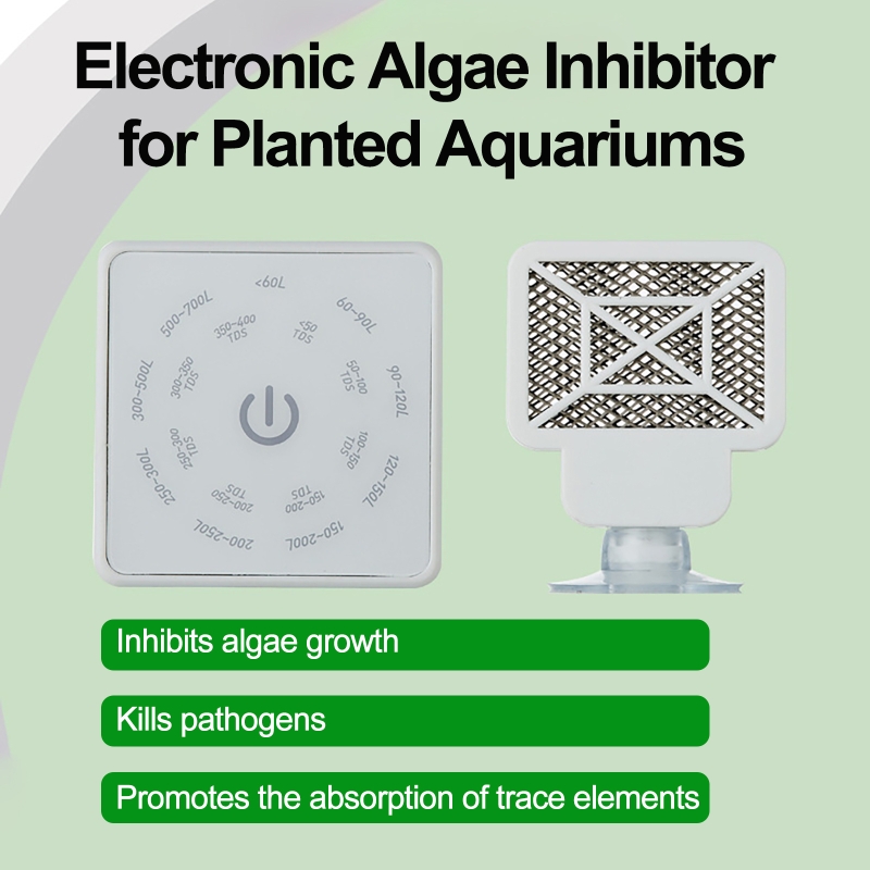 เครื่องมือทำความสะอาดตู้ปลาอิเ - Planted Aquarium Equipment บทวิจารณ์และราคา