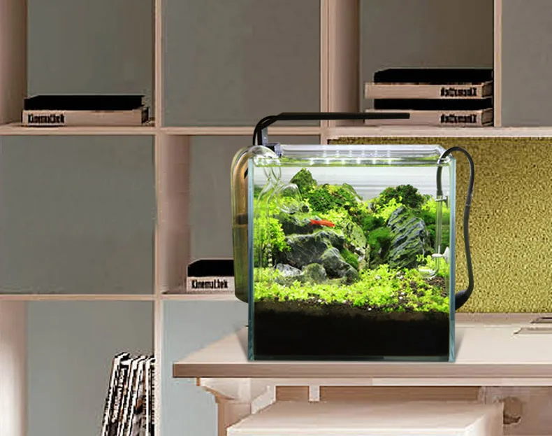Chihiros C Series ADA สไตล์พืช - Planted Aquarium Equipment บทวิจารณ์และราคา