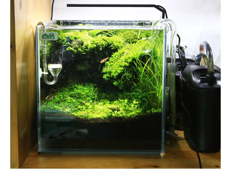 Chihiros C Series ADA สไตล์พืช - Planted Aquarium Equipment บทวิจารณ์และราคา