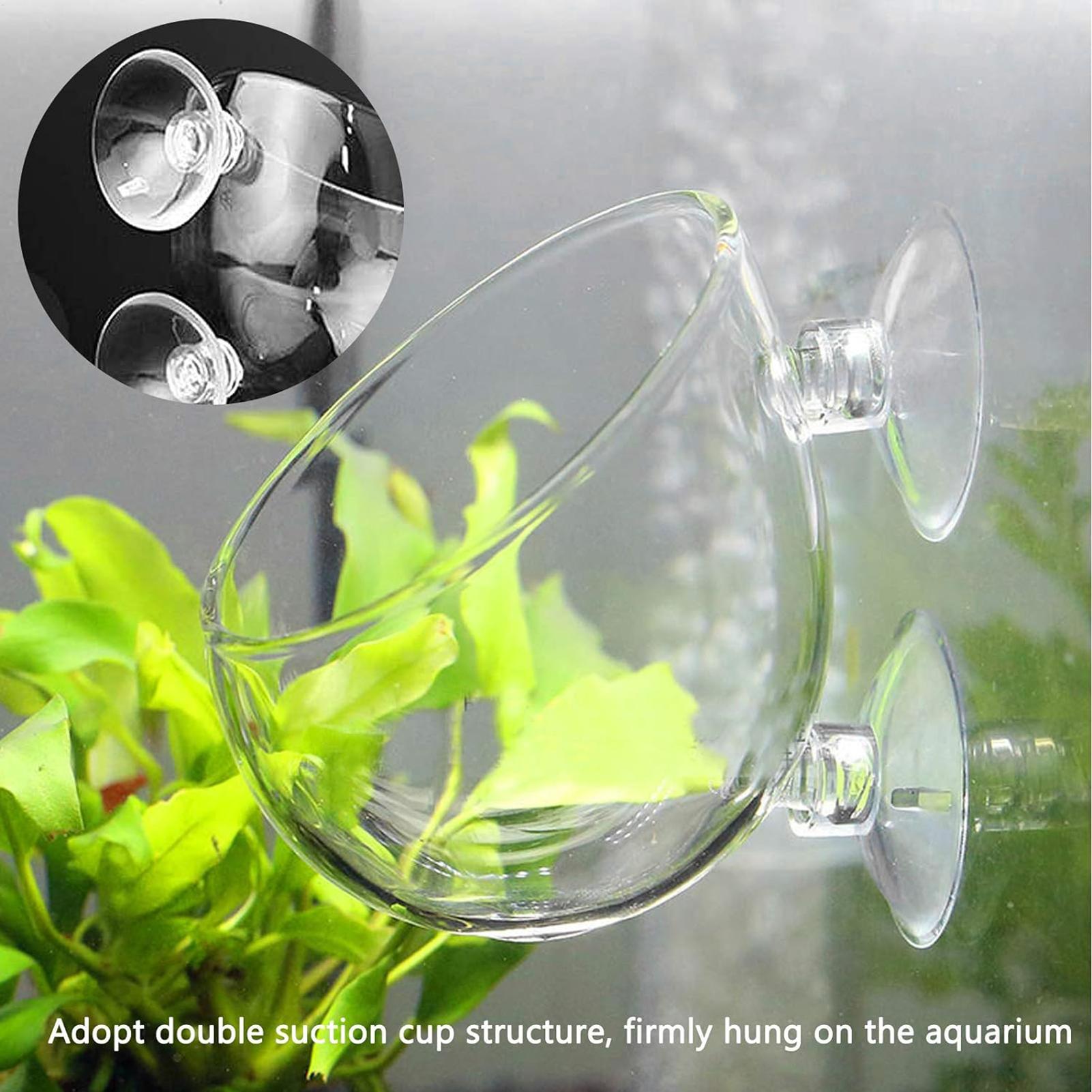 กระถางแก้วสำหรับปลูกต้นไม้ในตู - Aquarium Plant Dip บทวิจารณ์และราคา
