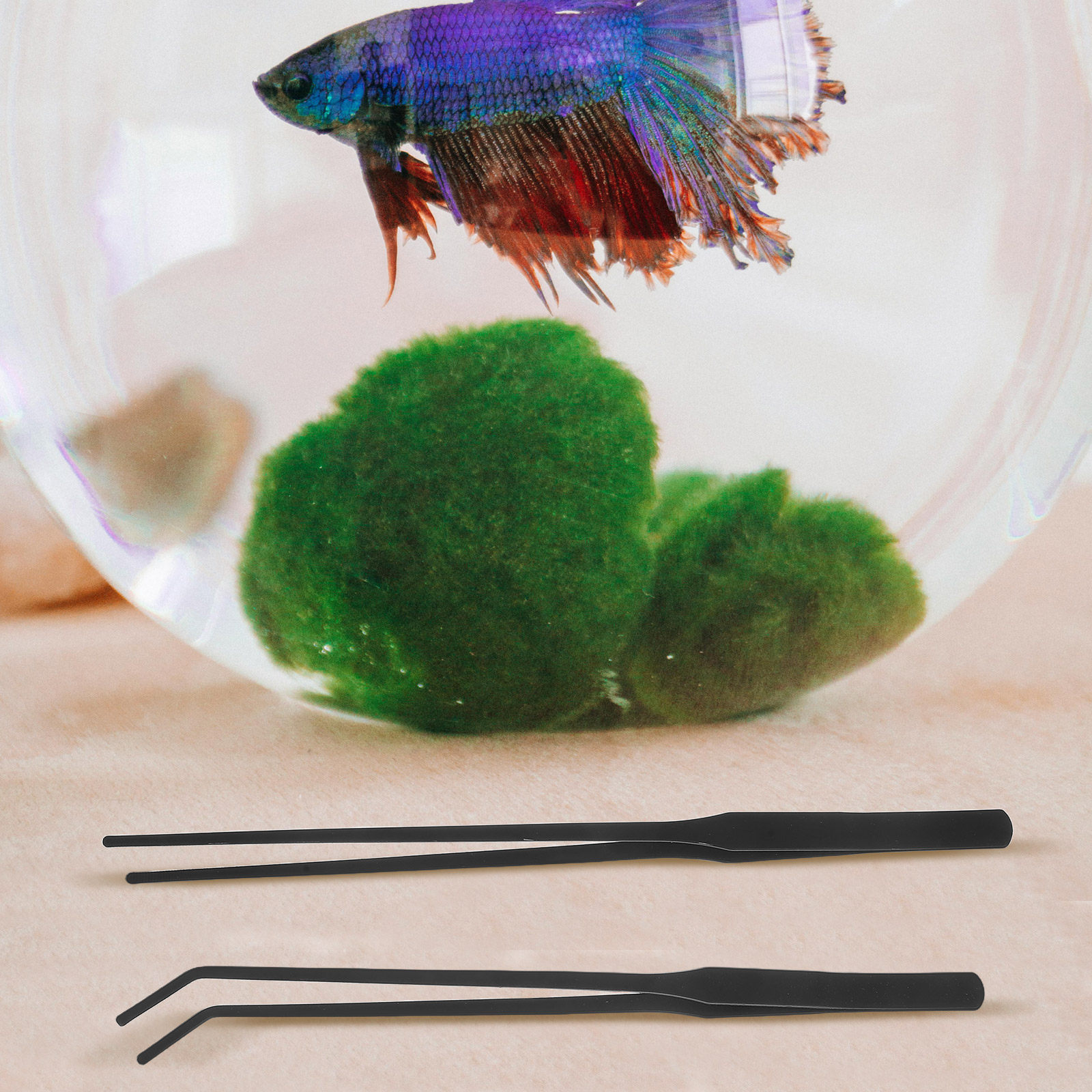 ชุดอุปกรณ์บำรุงรักษาตู้ปลา 4 ช - Planted Aquarium Tool Kit บทวิจารณ์และราคา
