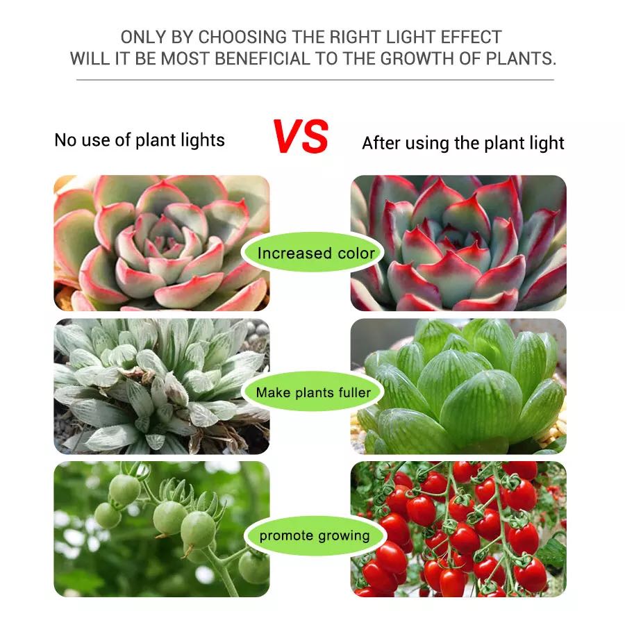 แถบ LED 5V Grow LED ดอกไม้ Aqu - Planted Aquarium Hours บทวิจารณ์และราคา