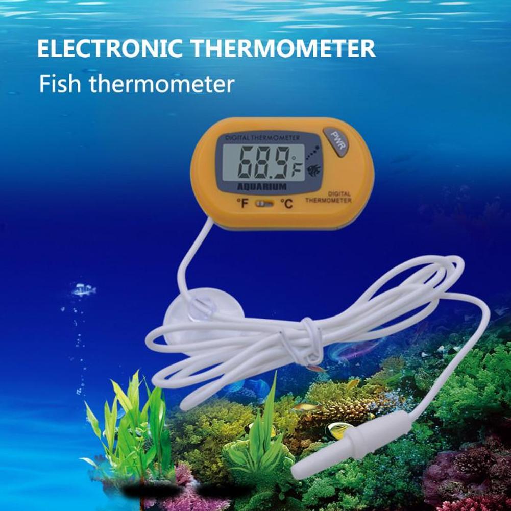 เครื่องวัดอุณหภูมิตู้ปลาแบบดิจ - Planted Aquarium Temperature บทวิจารณ์และราคา