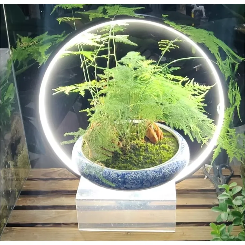 โคมไฟ LED สำหรับตู้ปลาขนาดเล็ก - Planted Aquarium Hours บทวิจารณ์และราคา