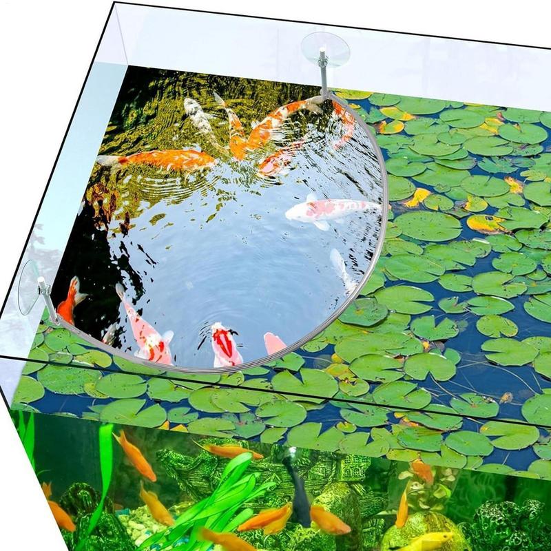 พืชลอย Corral Fish Feeding แหว - Planted Aquarium Equipment บทวิจารณ์และราคา