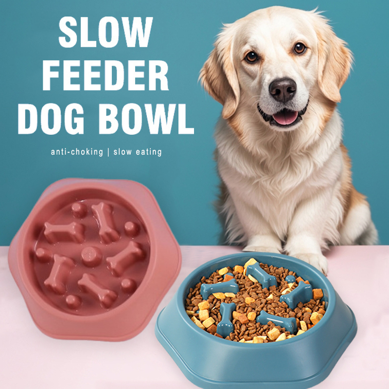 ชามอาหารสุนัขแบบป้อนช้า ชามอาห - Royal Canin Food Medium บทวิจารณ์และราคา