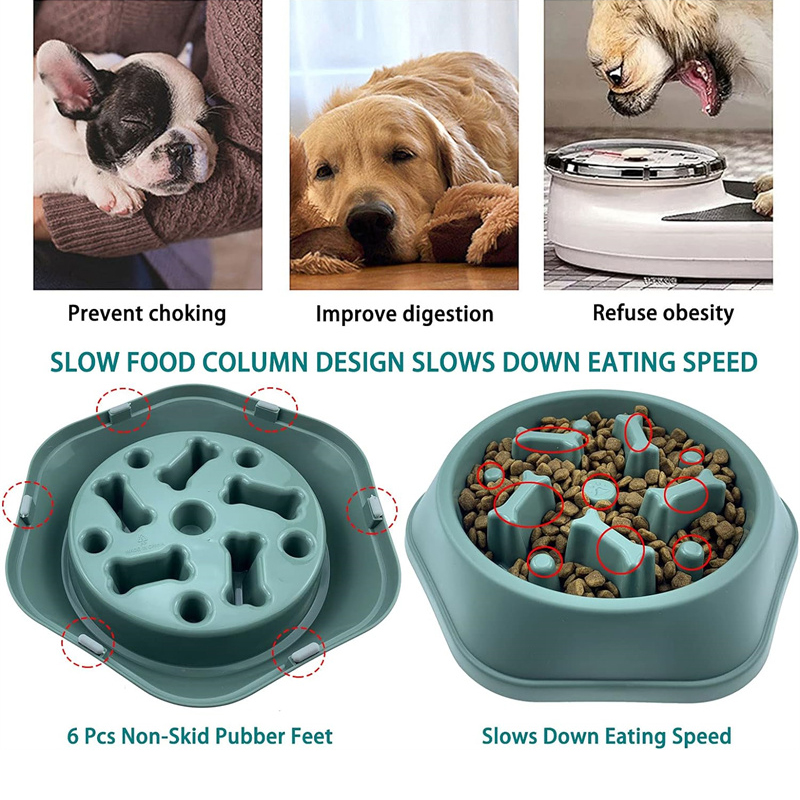 ชามอาหารสุนัขแบบป้อนช้า ชามอาห - Royal Canin Food Medium บทวิจารณ์และราคา