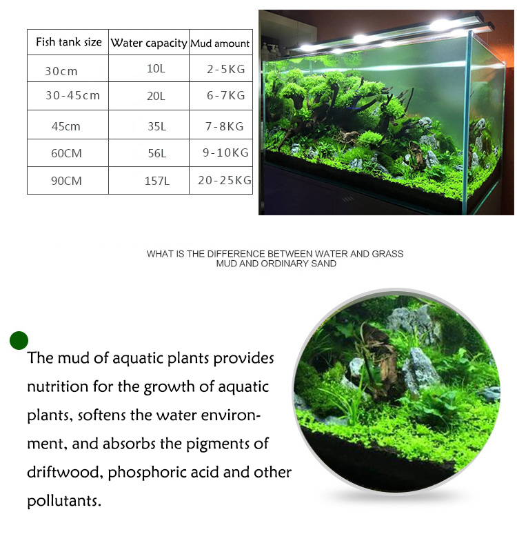 พิพิธภัณฑ์สัตว์น้ำเมล็ดพืชดิน  - Tissue Culture Plant บทวิจารณ์และราคา