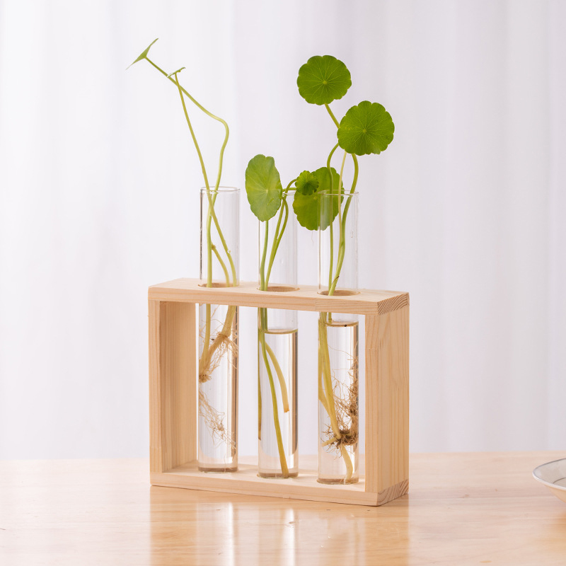 พืช Hydroponic คอนเทนเนอร์กรอบ - Tissue Culture Plant บทวิจารณ์และราคา