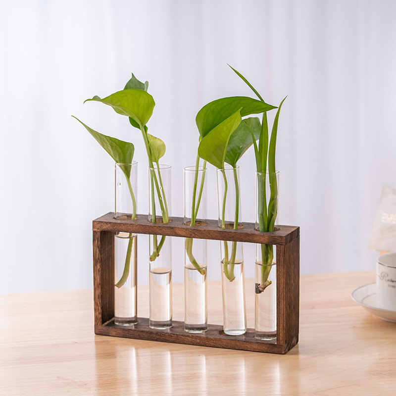 พืช Hydroponic คอนเทนเนอร์กรอบ - Tissue Culture Plant บทวิจารณ์และราคา