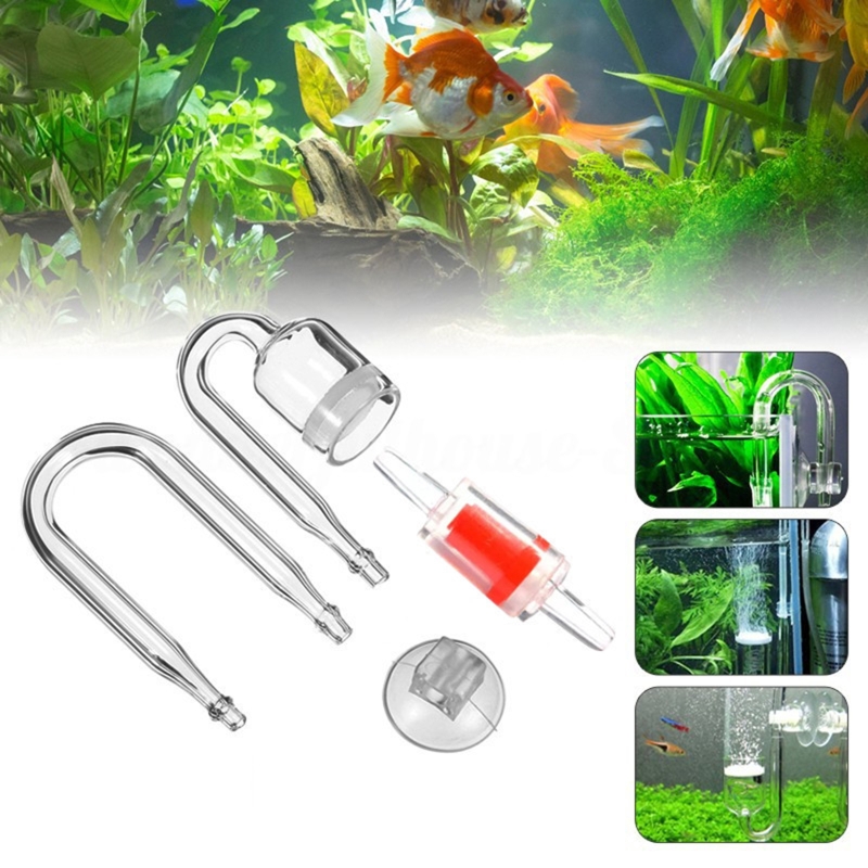 DIY ชุดกระจาย CO2 4ชิ้นสำหรับต - Aquarium Plant Dip บทวิจารณ์และราคา