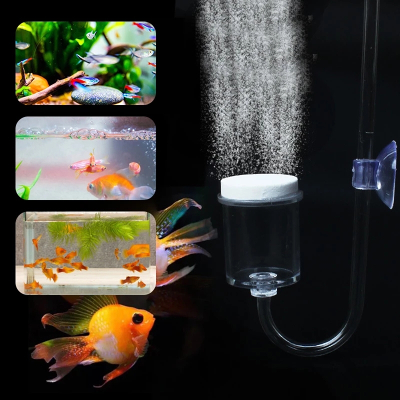 DIY ชุดกระจาย CO2 4ชิ้นสำหรับต - Aquarium Plant Dip บทวิจารณ์และราคา